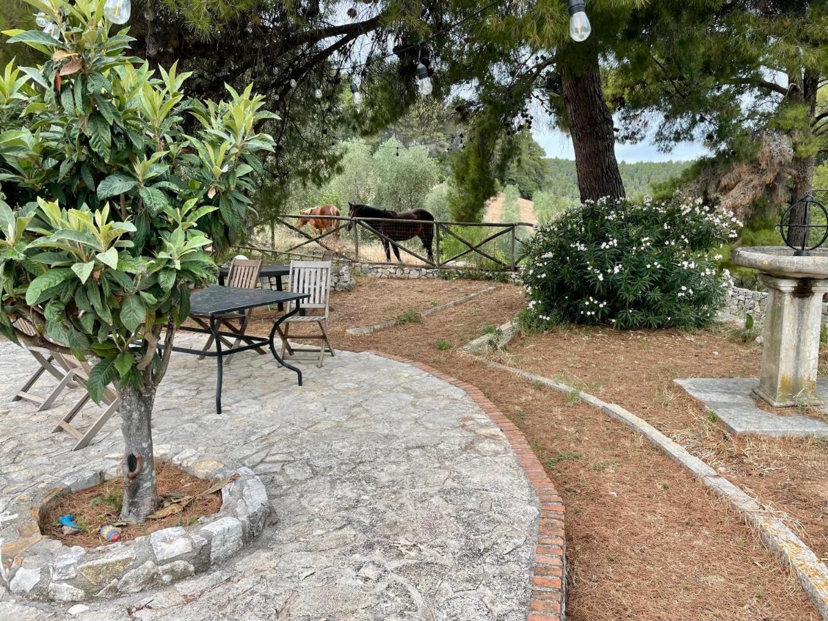 Novecento Country House Vieste Bagian luar foto