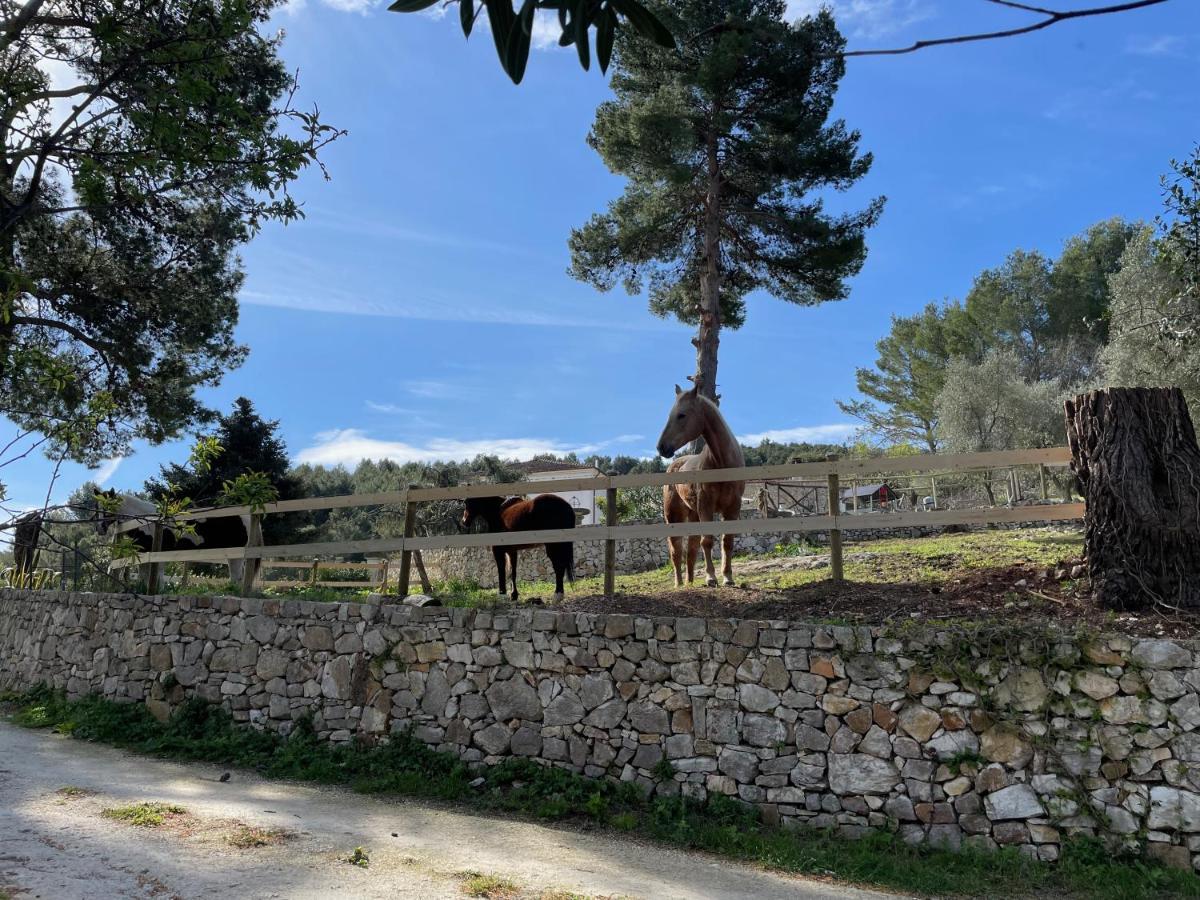 Novecento Country House Vieste Bagian luar foto