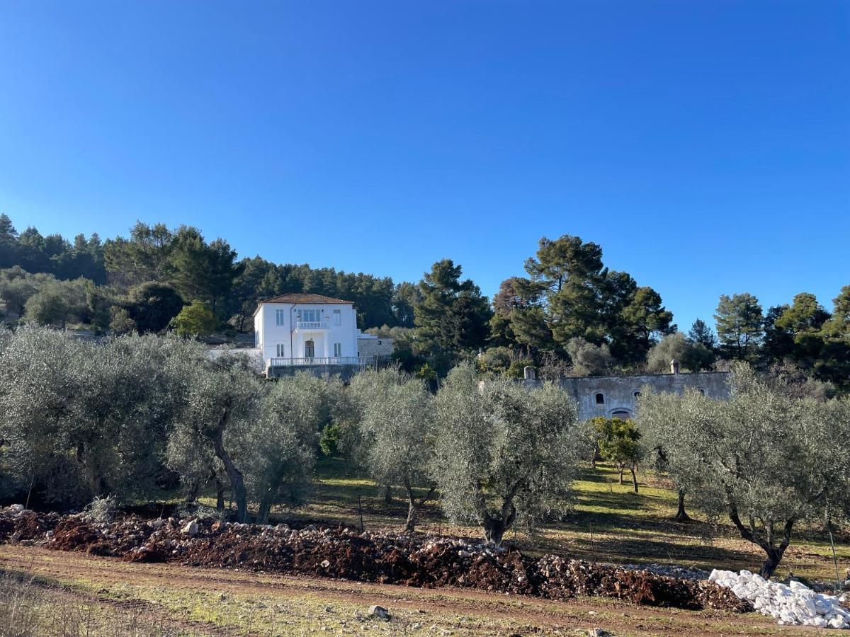 Novecento Country House Vieste Bagian luar foto