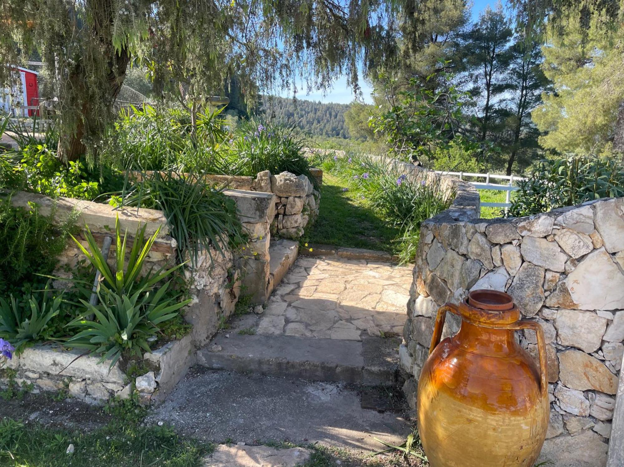 Novecento Country House Vieste Bagian luar foto